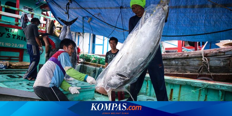 Tuna Dan Sidat Indonesia Berpotensi Diekspor Ke Jepang Tetapi Halaman All Kompas Com