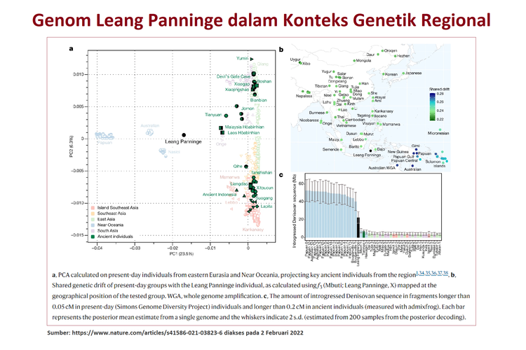 Hasil kajian genom fosil Besse dari situs Leang Panninge yang dipublikasikan di jurnal Nature edisi 25 Agustus 2021.