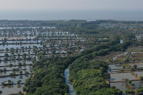 Antisipasi Banjir Ala Surabaya