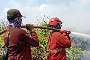 Data Kemenhut: Hotspot Karhutla Nasional Turun, Tapi Kalteng Masih Membara