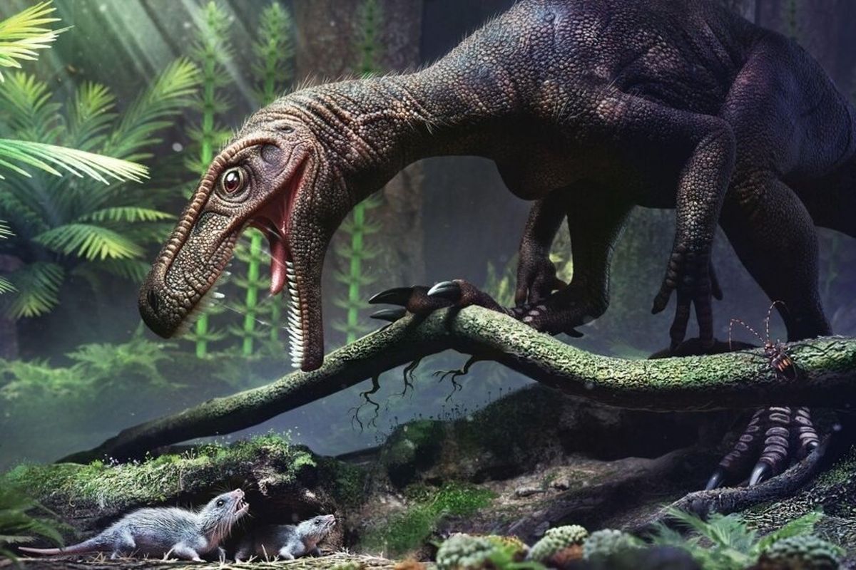 Gnathovorax cabreirai, dinosaurus karnivora. Salah satu dinosaurus yang dianalisis untuk mengungkap rahasia di balik evolusi dinosaurus yang dapat tumbuh jadi hewan raksasa.