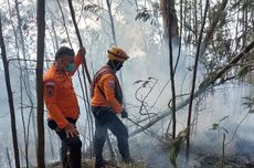 Kebakaran Hutan di TNBTS Padam, Personel BPBD Lumajang Tetap Siaga