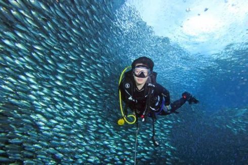 Di Mana Lokasi Menyelam untuk Pemula di Raja Ampat?