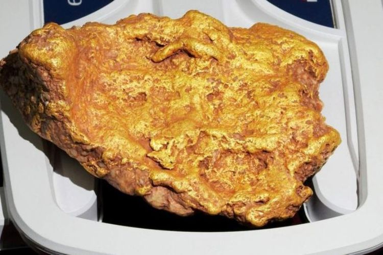 Bongkahan emas berjuluk Kaki Bebek ini ditemukan oleh seorang pria di pedalaman Australia Barat. Diperkirakan kandungan emas pada bongkahan tersebut mencapai 2,1 kg. (AAP via ABC Australia)