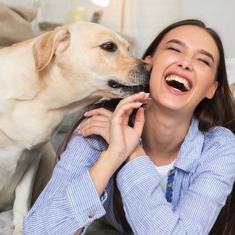 Ilustrasi anjing dan pemiliknya. Studi ungkap bahwa anjing bisa mengenali suara manusia, dalam hal ini pemiliknya. Ini membuktikan bahwa anjing adalah hewan cerdas.