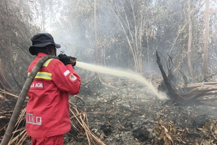 Karhutla Mengganas di Bengkalis Riau, 300 Hektar Lahan Gambut Terbakar