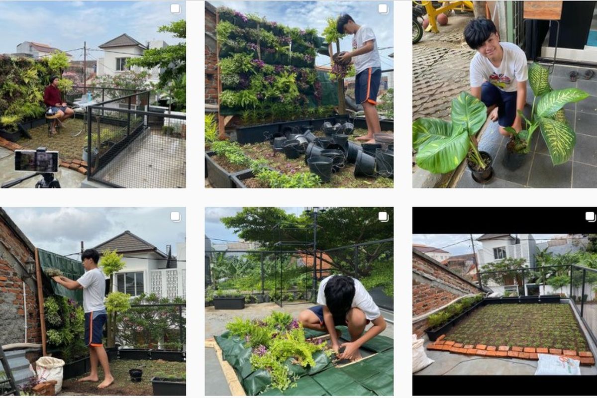 Roof Garden oleh Marza Athallah Merdiaz, Murid Kelas 10 Sekolah Cikal