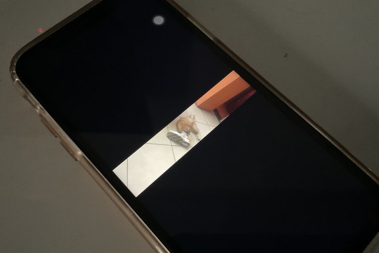 Terungkap Modus Pria Penyebar Video Siswi Tak Berbusana di Ngawi
