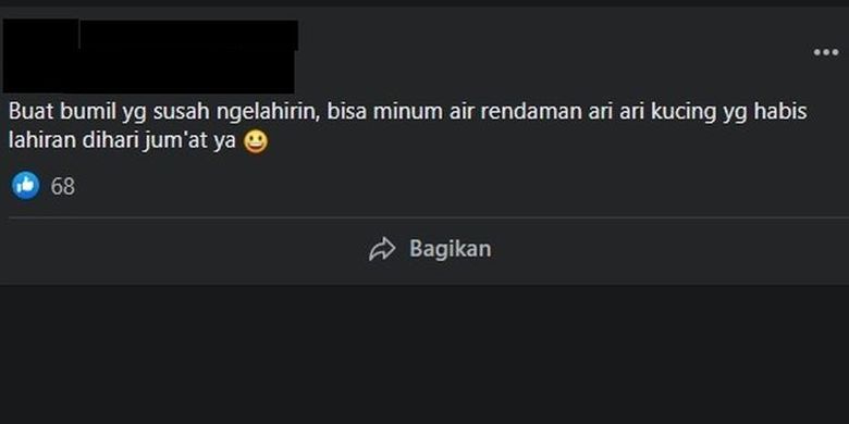 Beredar informasi yang menyebutkan bahwa ari-ari kucing bisa memperlancar persalinan. Ahli menyatakan, informasi ini tidak benar dan hanya mitos.