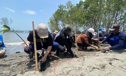 Menteri LH: Mangrove dan Gambut Jadi Kunci Pangkas Emisi