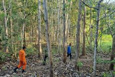 Remaja Hilang di Hutan Dlingo Bantul Selama 2 Hari, Sempat Diajak Tetangga Pulang tapi Tak Mau