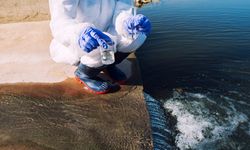 Studi Ungkap 70 Persen Area Konservasi Laut Terkontaminasi Limbah Cair