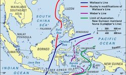 Garis Tak Kasatmata di Indonesia yang Membedakan Satwa Asia dan Australia
