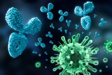 Kasus Mutasi Virus Corona E484K 'Eek' Ditemukan di Jakarta, Apa Itu?