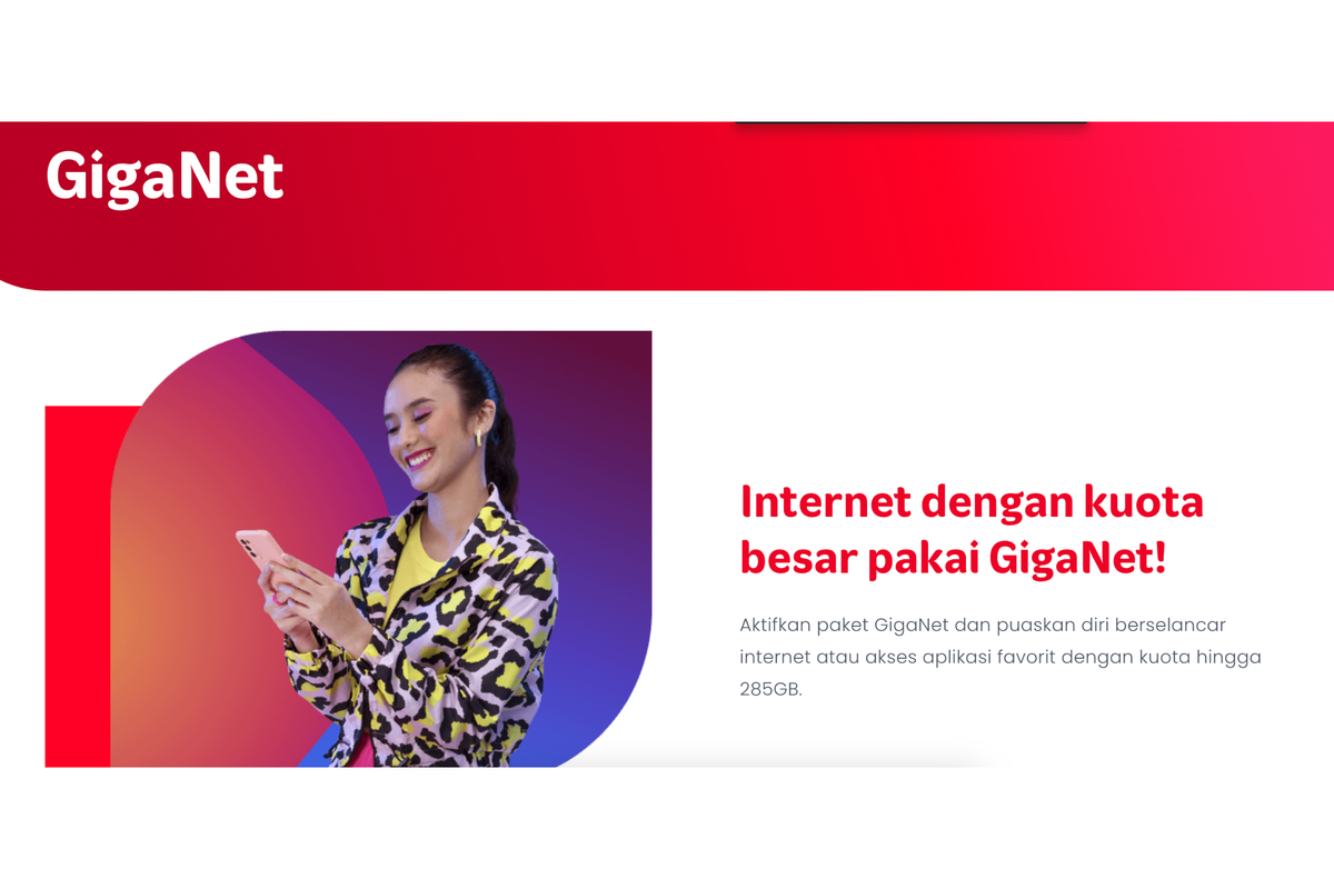 Ilustrasi paket GigaNet