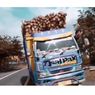 Stigma Truk Cabai Ugal-ugalan, Membahayakan Pengguna Jalan Lain