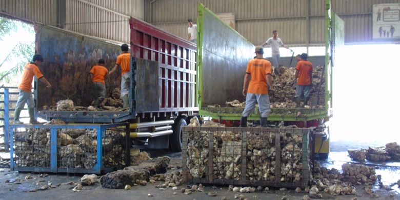 Kirana Megatara merupakan produsen karet remah (crumb rubber) terbesar di Indonesia dengan pangsa pasar lebih dari 18% secara nasional.