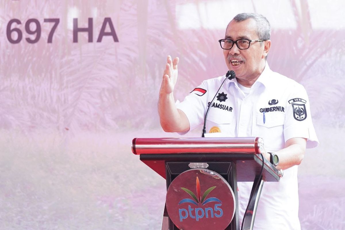  Gubernur Riau Syamsuar dalam salah satu kesempatan.