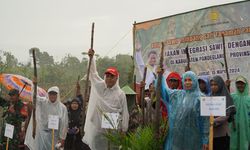 Upayakan Produksi Padi Melimpah, Kementan Giatkan Lahan Perkebunan lewat 