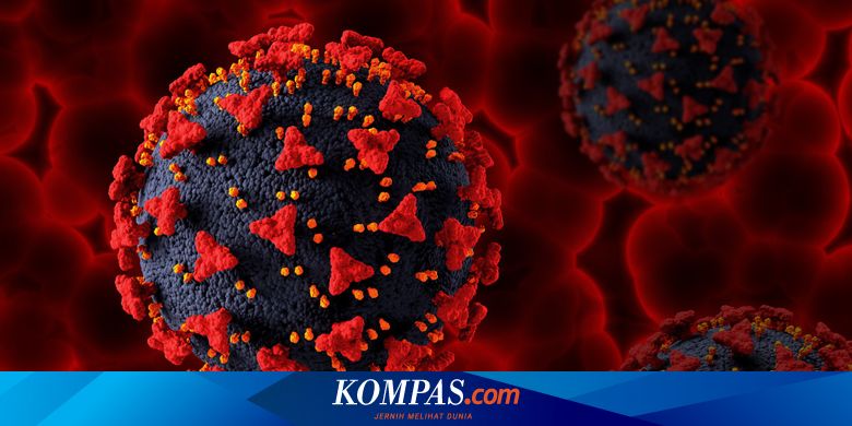 Omicron Siluman, Gejala, dan Orang yang Rentan Terkena Varian Ini