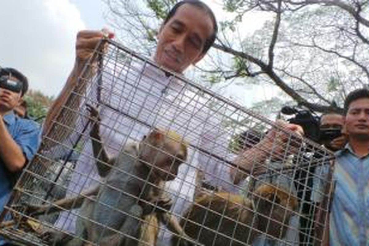 Gubernur DKI Joko Widodo mengangkat kandang berisi monyet di pelataran Monas, Rabu (23/10/2013). Monyet-monyet itu hasil razia Satpol PP terhadap topeng monyet di Jakarta.