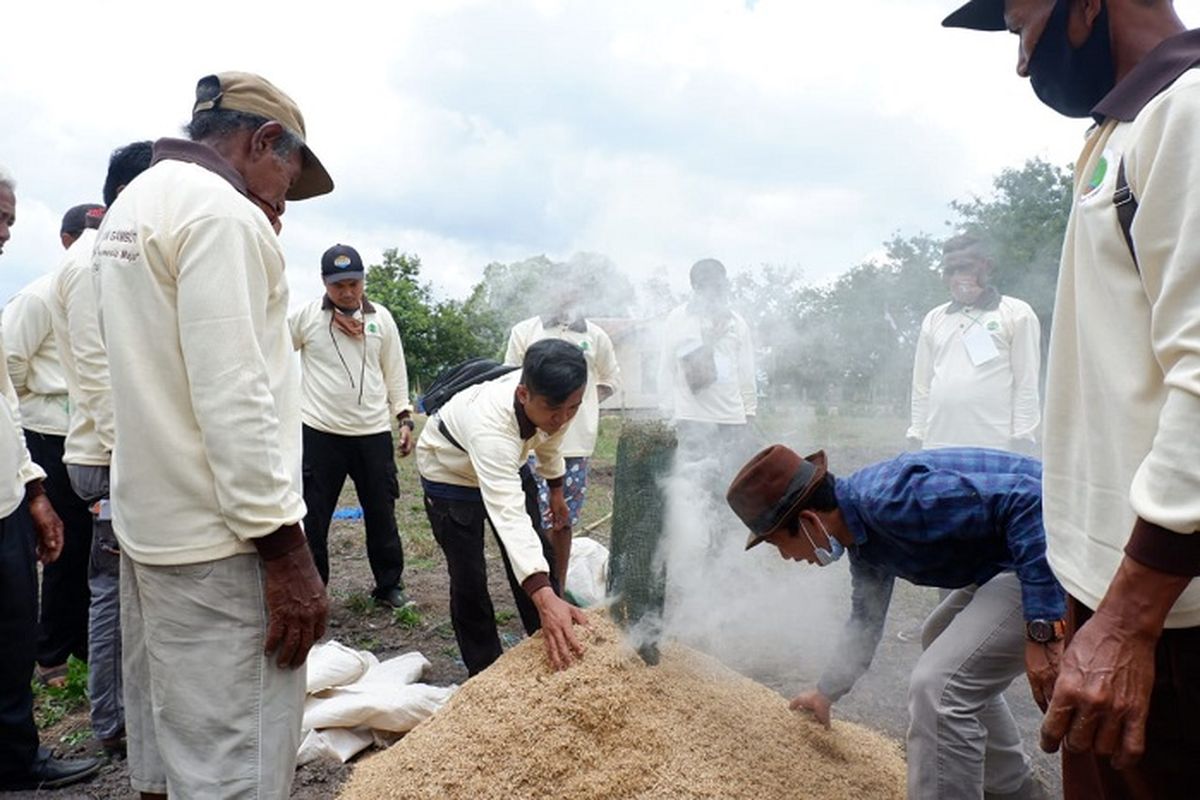 Praktik pembuatan arang sekam untuk pembenahan tanah dan pupuk.
