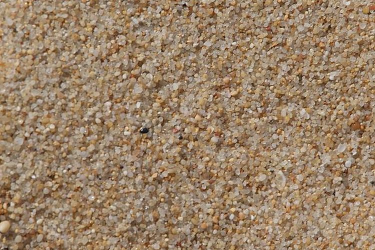 Pasir yang merupakan sumber unsur silikon