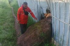 Kantor Layanan Pembuatan Paspor di Undip Resmi Dibuka, Berikut Jadwal Operasionalnya