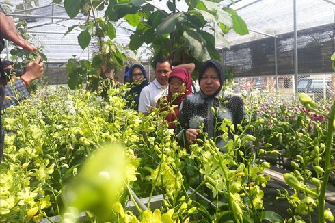 Surabaya Kembangkan Kebun Anggrek di Eks Lokalisasi Sememi, Ini Ragam Fasilitasnya