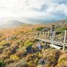 Sekitar 140.000 Turis Berkunjung ke Jeju di Tengah Pandemi Corona