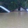 Fakta Banjir Bandang di Freeport, 1 Warga Tewas hingga 14 Pekerja Sempat Terjebak