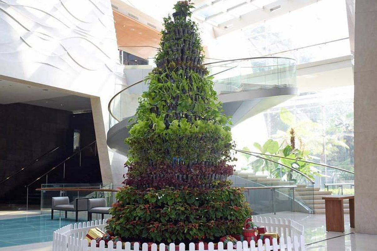 Pohon Natal ini dibuat dari ratusan pohon organik yang ditanam di dalam pot botol plastik minuman bekas. Masyarakat bisa melihat pohon Natal tersebut di Hotel Hilton Bandung.