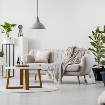 Ilustrasi ruang keluarga bergaya Skandinavia dengan sejumlah tanaman hias.