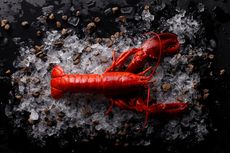 Di Swiss, Dilarang Merebus Lobster Hidup-hidup