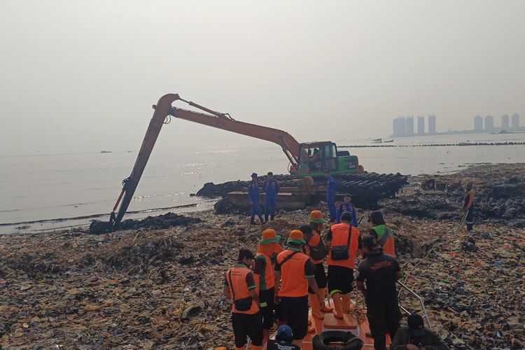 Butuh Lebih Satu Dekade Pulihkan Mangrove yang Terdampak Pulau Sampah Muara Angke