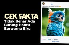 INFOGRAFIK: Hoaks, Munculnya Burung Hantu Berwarna Biru