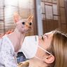 Bahaya dan Cara Mencegah Toksoplasmosis pada Kucing serta Manusia