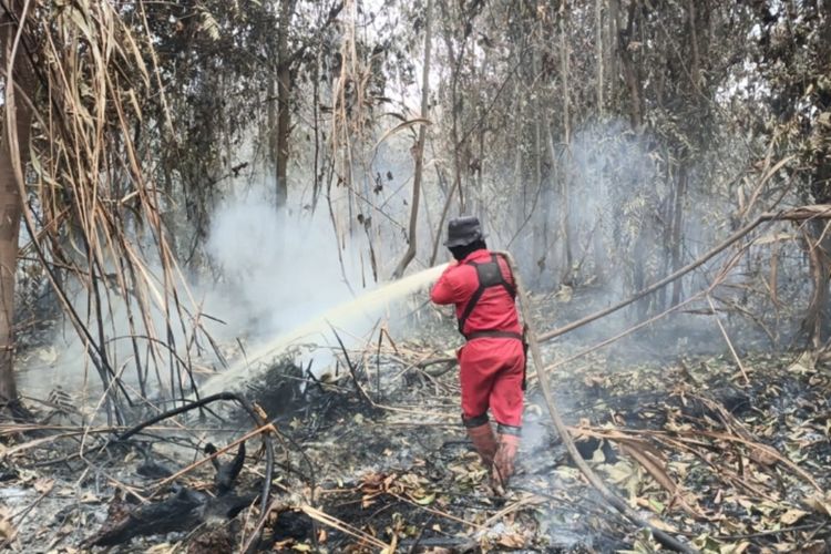Muba Menyusul OKI dan Ogan Ilir, Tiga Daerah di Sumsel Siaga Karhutla
