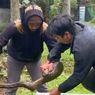 Puluhan Ular Piton Muncul di Desa Pancasari Bikin Warga Khawatir, Ini Penjelasan BKSDA Bali