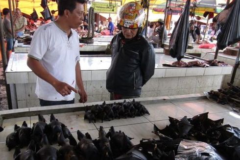 Studi: Eksploitasi Alam oleh Manusia Sebabkan Penyakit Zoonosis Seperti Covid-19