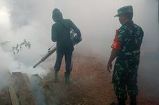 Dua Anak di Pelosok Perbatasan RI – Malaysia Meninggal akibat DBD, Dinkes Nunukan Intensifkan Fogging