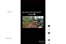 Video Pengendara Trail Bertemu Macan di Jalur Off Road
