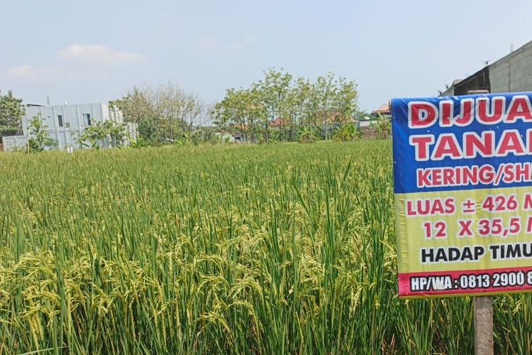 RUU Reforma Agraria dan Jalan Keluar Maraknya Konflik Lahan