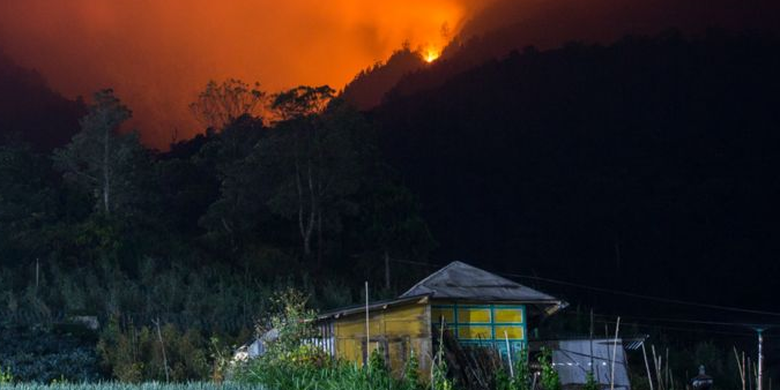 Berita Harian Gunung Lawu Kebakaran Terbaru Hari Ini Kompas Com