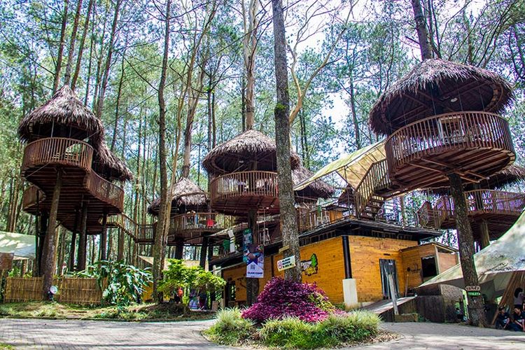 Kopeng Treetop Wisata Outbound Yang Instagramable Di Kaki