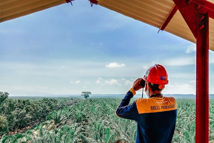 Pemantauan risiko kebakaran di salah satu perkebunan sawit oleh tim pemadam PT Austindo Nusantara Jaya (ANJ).