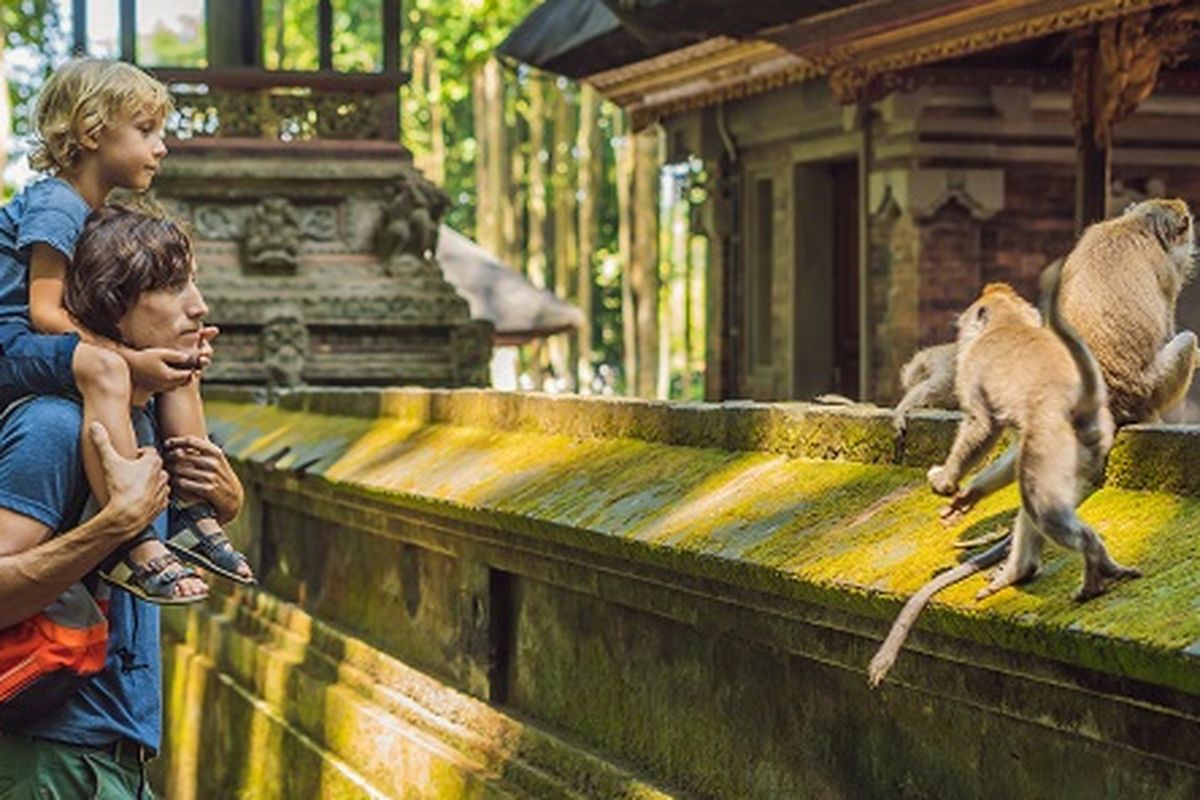 Illustration of Bali. Tourists are on vacation at the Sacred Monkey Forest, Gianyar, Bali.