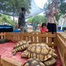 Pameran Flona 2023 Jadi Tempat Kenalkan Tanaman dan Hewan ke Anak