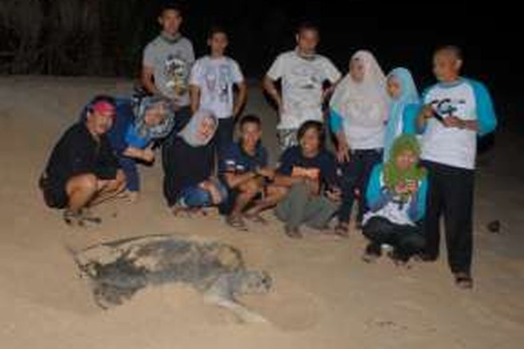 Sejumlah pengunjung menyaksikan penyu hijau bertelur di Pantai Pangumbahan, Kecamatan Ciracap, Sukabumi, Jawa Barat, Jumat (26/8/2016). 