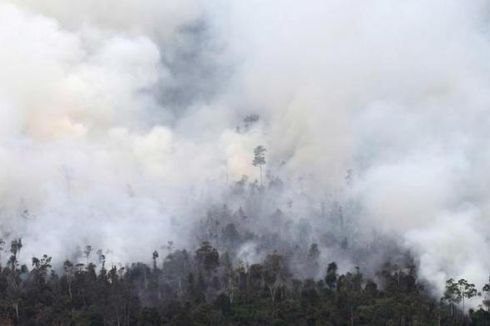 20 Hektar Lahan Terbakar, Satgas Bencana Asap Riau Lapor Polisi